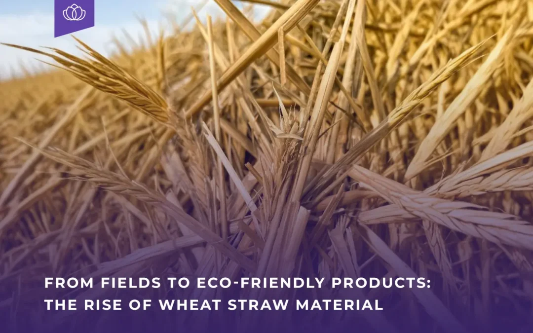 From Fields to Eco-Friendly Products: The Rise of Wheat Straw