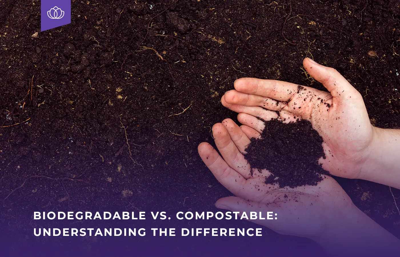 Biodegradable vs. Compostable Understanding the Difference blog banner